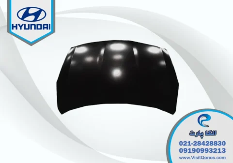 کاپوت گرنجور 2013 استوک | الکا پارت